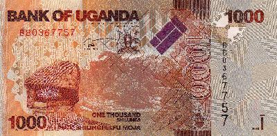 Beschrijving achterzijde: KUDU